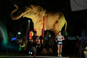 BIB: 
                            <button type="button" onclick="openModal(26530664)" class="btn btn-primary btn-sm float-right btn-popup" data-toggle="modal" data-target=".modal-high-quality">
                        <i class="fas fa-shopping-cart"></i> Add to Cart
                    </button>
                                            <button type="button" onclick="isThisMe(26530664, true)" class="btn btn-success btn-sm float-right btn-popup btn-isme hidden" data-toggle="tooltip" data-placement="bottom" title="นี่คือรูปของคุณใช่ไหม คลิกที่นี่เพื่อเอาเข้าอัลบั้ม">
                        <i class="fas fa-plus"></i> Add to album
                    </button>
                    <button type="button" onclick="isThisMe(26530664, false)" class="btn btn-warning btn-sm float-right btn-popup btn-isnotme hidden">
                        <i class="fas fa-ban"></i> Remove from album
                    </button>